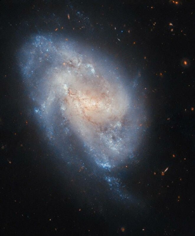 Спиральная галактика NGC 337 на снимке от Hubble 💫